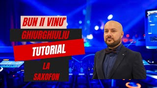 Bun ii vinul ghiurghiuliu  Tutorial La Saxofon [upl. by Eiahpets419]