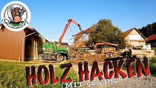 FarmVLOG299  Holzhacken im Sommerloch [upl. by Nonnad857]