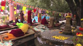 On the Path of the Buddha Buddhist Pilgrimage in North India and Nepal [upl. by Selena]