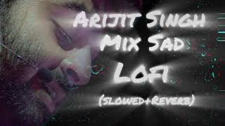 Arijit Singh ll lofi mix sad song l 2024 new song [upl. by Ponton]