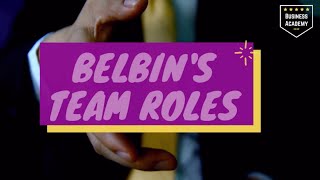 Belbin Team Roles [upl. by Bussy374]