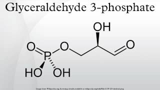 Glyceraldehyde 3phosphate [upl. by Betsey]