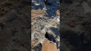 Fossils and waves ammonites fossils hunting rock shorts [upl. by Qerat]