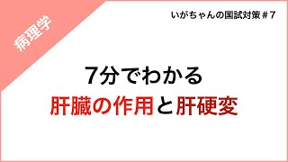 【国試対策】肝臓の作用と肝硬変について（TikTokライブアーカイブ） [upl. by Yunick510]