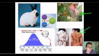 Advanced Classical Genetics Part 3 Genetic Relationships Part 2 [upl. by Amalbergas482]