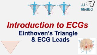 Introduction to ECG  The Basics  Einthoven’s Triangle Limb Augmented and Precordial Leads [upl. by Lynnette478]