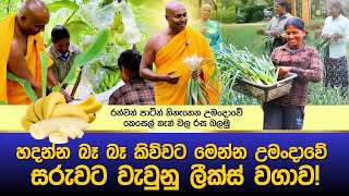 මෙන්න බලාපල්ලා උමංදාවේ හදන්න බෑ කියපු ලීක්ස් [upl. by Abell320]