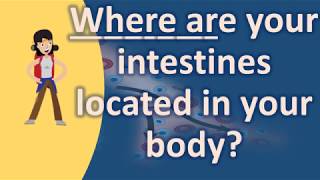 Where are your intestines located in your body  Health Forum [upl. by Anuqahs]