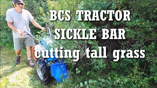 4K CUTTING TALL GRASS  BCS TRACTOR PROFESSIONAL 732gx11 AND SICKLE BAR MOWER  LANDSCAPING 2 [upl. by Venable965]