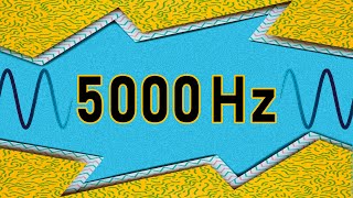 5000 Hz TEST TONE SOUND [upl. by Einiffit704]