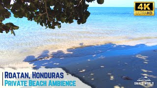 Your Personal Paradise  Private Beach Ambience amp Relaxing Guitar  Roatan Honduras [upl. by Nywled]