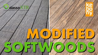 Can Softwoods be as Durable as Hardwoods — TimberTips [upl. by Cardwell]