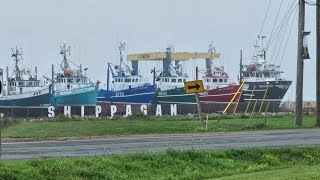 A Walking Tour of Shippagan New Brunswick [upl. by Lolly]