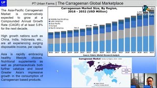 Carrageenan Powder amp Eucheuma Cottonii Seaweed Farming in Indonesia [upl. by Northey]