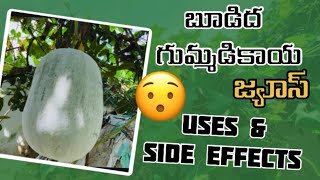 బూడిదగుమ్మడికాయ జ్యూస్😮 Uses and Side effects Vlogs with saru [upl. by Avilla]