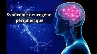 Sémiologie neurologique6ème coursSyndrome neurogène périphérique Polynévrite Polyradiculonévrite [upl. by Margarete]