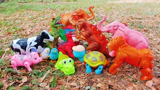 Review of Godzilla dinosaurs Nemo fish tigers frogs rabbits foreign elephants large elephants [upl. by Zeuqirdor]