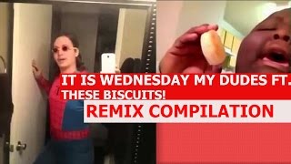 These Biscuits Ft It Is Wednesday My Dudes Collab  REMIX COMPILATION [upl. by Buckingham186]