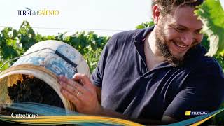 Visita alle quotCantine Palamàquot a Cutrofiano [upl. by Soracco459]