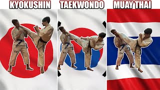 Which Martial Arts Roundhouse Kick is Best [upl. by Akived326]