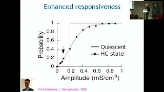 Alain Destexhe  Models for bridging scales from neural circuits to the whole brain [upl. by Brawley948]