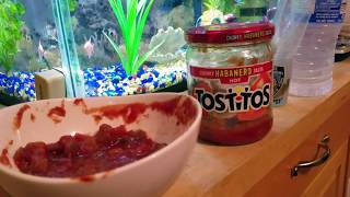 ✅ How To Use Tostitos Chunky Habanero Salsa Review [upl. by Innattirb]