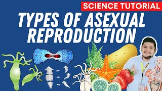 TYPES OF ASEXUAL REPRODUCTION  SCIENCE 7 QUARTER 2 WEEK 5 [upl. by Roddie]