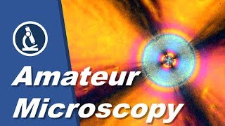 🔬 013  Welcome to amateur microscopy [upl. by Trebleda]