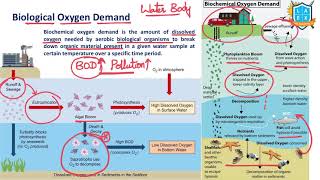 What is Biological Oxygen Demand   Biological Oxygen Demand BOD అంటే ఏమిటి  La Excellence [upl. by Akemehc]