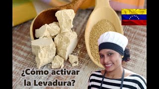 ¿Cómo activar la levadura frasca o seca Paso a Paso 👩‍🍳🥯🍕🍞🍴 [upl. by Livingston300]