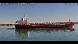 Jutlandia Swan Downbound for The Gulf of Mexico October 24 2024 [upl. by Ozzy]