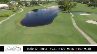 Bay Hill Hole 17 Flyover [upl. by Ivers]