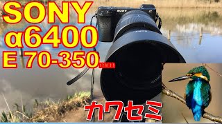 SONY α6400で冬の野鳥を撮影 【4K動画】 （カワセミ、ベニマシコ、ウソ、コゲラなど） [upl. by Nadine]