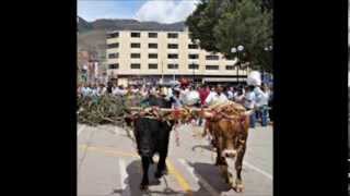 PATA AMARILLA  CARNAVAL HUANUQUEÑO [upl. by Osmond297]