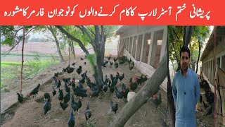 Free range Australorp hen farm in SialkotFree range chicken farming in PakistanAustralorp hens [upl. by Quenby]