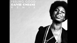 Nina Simone  Feeling good David Oniani Remix [upl. by Zerla357]