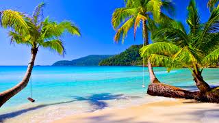 4k UHD Tropical Beach amp Palm Trees on a Island Ocean Sounds Ocean Waves White Noise for Sleeping [upl. by Hussar935]