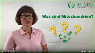 Was sind Mitochondrien Aufgabe und die Funktion  HEILVITA Naturheilpraxis [upl. by Sandell]