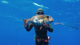 Spearfishing The Kingdom of Tonga  Reef fish [upl. by Litch]