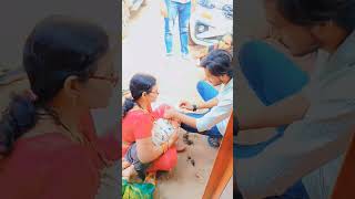 o raja ji panchayat song😍viralvideo trendingshorts [upl. by Nylirej]