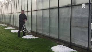 Fruitkweker Gijs van Herk staat in de hopen hagel in Heinenoord [upl. by Ardnola]