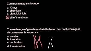 Common DNA mutagens [upl. by Ylus505]