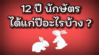 12ปี นักษัตร มีอะไรบ้าง  ปีเถาะคือปีอะไร  ปีมะเมีย 🗓 ปีมะแม [upl. by Anhcar285]