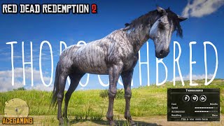 Easiest way to get the Fastest Horse early in chapter 2  Brindle Thoroughbred  RDR2  PS4 Slim [upl. by Yeh]