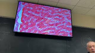 Histology Lab Lecture 9 and 10 Thyroid Parathyroid Pancreas Liver Hypophysis and Adrenal Gland [upl. by Eiraminot]