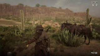 Cinematic Red Dead Online ASMR Longplay [upl. by Marco]