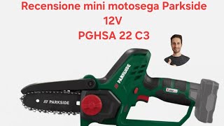 Mini motosega Parkside a batteria 12V modello PGHSA C3 [upl. by Oner402]