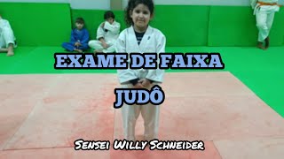 Exame para faixa CINZA Professor Willy Schneider [upl. by Ardnic]