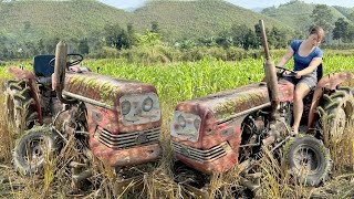 Repair Complete Of Old Agricultural Tractor  Replace Gearbox Bearings Restoration  Blacksmith Girl [upl. by Ennaxxor]