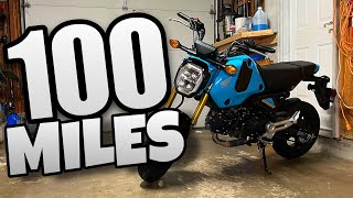 2024 Honda Grom Review 🛵💨 100 Mile UPDATE GO GET ONE [upl. by Hamid]